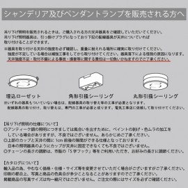 【要問い合せ / 吊照明】ペンダントランプ［ドロップ（1灯）］＜E12/水雷型＞