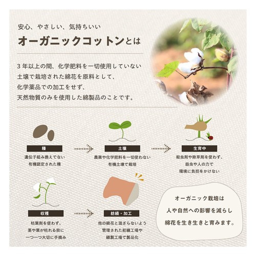 クッション 寄りかかり 日本製 オーガニックコットン 綿100% 無地 洗える 背もたれ 『クララ 寄りかかり』