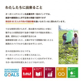 クッション 寄りかかり 日本製 オーガニックコットン 綿100% 無地 洗える 背もたれ 『クララ 寄りかかり』