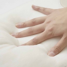 なぜかかわいい　もっちりクッション抱っこ牡蠣