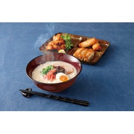 汚れがつきにくい 日本製 クリーンコート レクタンランチプレート L お皿 おしゃれ 樹脂 漆器 食器