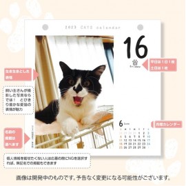 【中央経済社】カレンダー 猫めくり　日めくりカレンダー 2023
