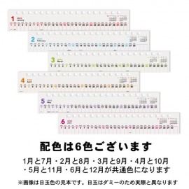 【数量限定】版カレンダー　スリムミニ 卓上　手帳・カレンダー　日本製