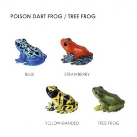 リアルな生き物マグネット【REPTILES MAG FROG SERIES】フロッグ シリーズ