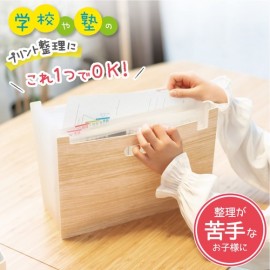 【ソニック】ボックスファイル ぽい分けボックスファイル 13ポケット リビガク  A4   LV-6276-I